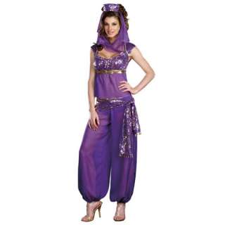 GENIE Arabian NIGHTS Costume Belly Dancy FANCY DRESS Womens Adult 
