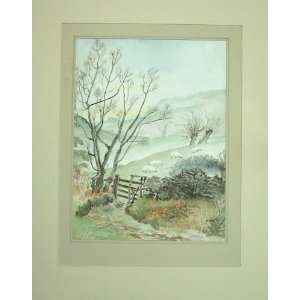  C1980 M Smart Water Colour Country Sheep Trees Gate: Home 