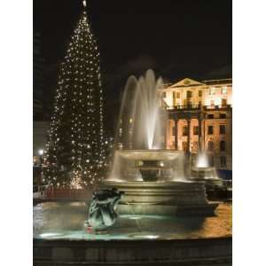  Christmas Tree and Fountains in Trafalgar Square at Night 