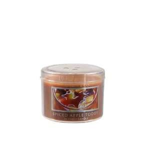   Slatkin & Co. Spiced Apple Toddy Mini Candle 1.6 oz