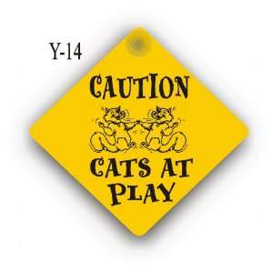  Cats at play 