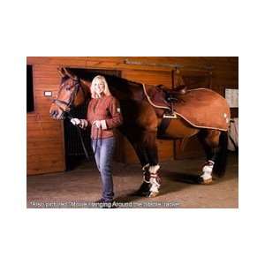  Moxie Cavalero Exercise Half Sheet SALE