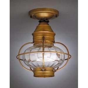   Lantern Ceiling Light Onion Caged Optic 2624 CSG DAB: Home & Kitchen