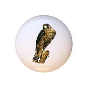 Birds Falcon Drawer Pull Knob