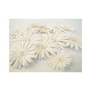  Daisy Dreams Flowers 12/Pkg   Snow Arts, Crafts & Sewing