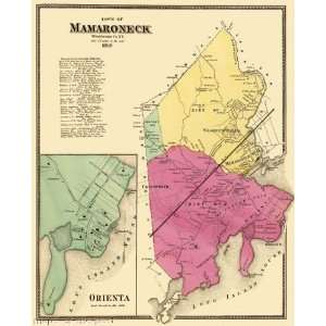   MAMARONECK & ORIENTA, NEW YORK (NY) LANDOWNER MAP 1868