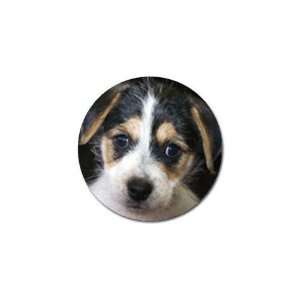  Jack Russell Puppy Dog Golf Ball Marker (10 pk) I0702 