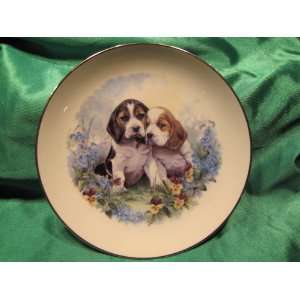 Beagle Puppy Collectible Plate 8