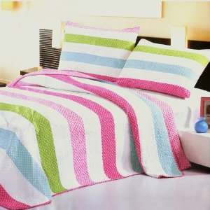   Quilted Striped Patchwork Quilt Set (Full/Queen Size)