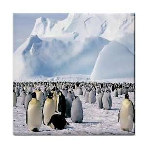    Penquins Ceramic Tile Coaster Great Gift Idea: Office Products