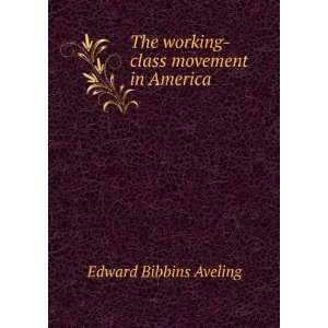   The working class movement in America Edward Bibbins Aveling Books