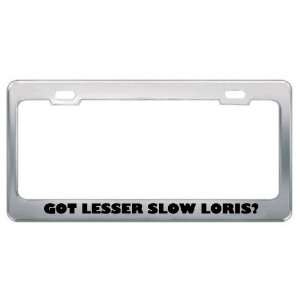 Got Lesser Slow Loris? Animals Pets Metal License Plate Frame Holder 