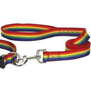  Rainbow Striped Leash   4ft