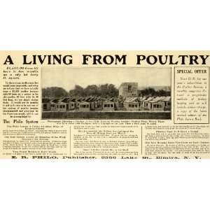   White Orpingtons Land Chickens   Original Print Ad: Home & Kitchen