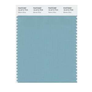   SMART 15 4712X Color Swatch Card, Marine Blue: Home Improvement