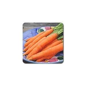  High Mowing 100% Certified Organic Scarlet Nantes Carrot 