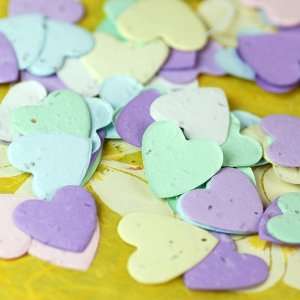  Plantable Heart Shaped Confetti: Health & Personal Care