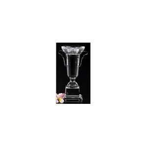  Badash Crystal H180 Crystal Trophy: Home & Kitchen