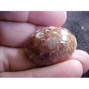  S3506 Brownish Coral Fossil Agate Flower Oval Cabochon 