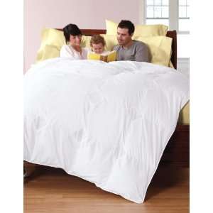   Regulating Synthetic Comforter, Twin, Summer, White: Home & Kitchen