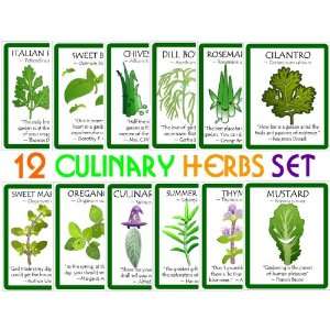   , Chives, Marjoram, Summer Savory & Sweet Basil Patio, Lawn & Garden