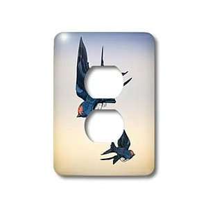 Boehm Graphics Birds   Swallows   Light Switch Covers   2 plug outlet 
