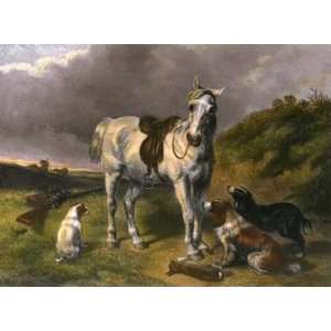  Shooting Pony Etching Herring, John F Davey, G Animals 