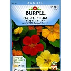  Burpee 32206 Nasturtium Burpees Tall Mix Seed Packet 