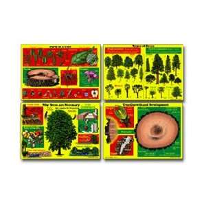  Understanding Trees Poster Set Toys & Games