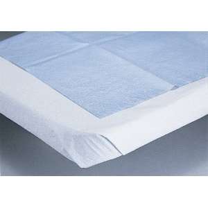  Disosable Sheets for Stretchers (40x90in): Health 