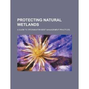  Protecting natural wetlands a guide to stormwater best 