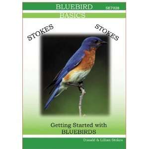 Stokes Bluebird DVD Video   Information on all 3 Species of Bluebirds