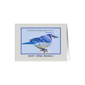  Birthday, 103rd, Blue Jay Bird Card Toys & Games