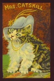 CATSKILL MTS, NY ~ MRS. CATSKILL ~ CAT DRESSED WITH FANCY HAT ~ c 1930 