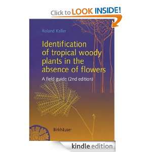 Identification of tropical woody plants in the absence of flowers 