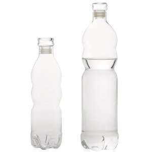  Eco Glass Water Bottle: Sports & Outdoors