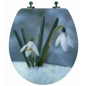   Snowdrop Flowers, Round, Chromed Metal Hinges, Wood, White: Home