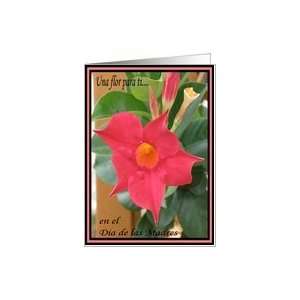  flor para ti Dia de las Madres(spanish) Card: Health 