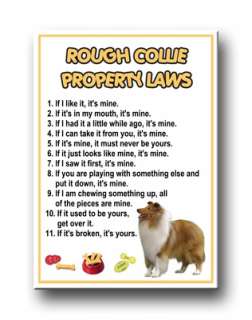 ROUGH COLLIE Property Laws MAGNET No 1 Steel Cased DOG  