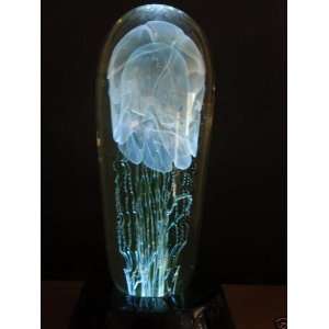   Satava 6 1/2 Rare Retired Moon Jellyfish Paperweight: Everything Else