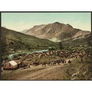   ,Round up,cattle,herd,corrals,Cimarron,CO,c1898