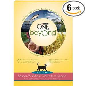 Purina ONE beyond Salmon and Brown Rice for Cat, 16 Ounce (Pack of 6 