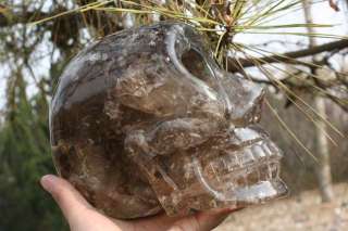42lb Clear Smokey Quartz Rock Crystal Skull Carving  