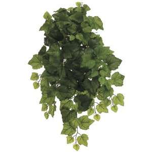   Ivy Hanging Bush w/132 Lvs. Light Green (Pack of 12)