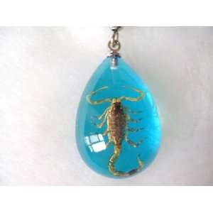  Real Scorpion Baby Blue Lucite Cellphone Charm Everything 