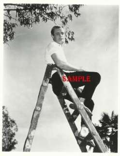 Man From Uncle David McCallum Ducky NCIS Photo  
