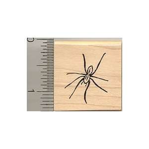  House Spider Rubber Stamp: Arts, Crafts & Sewing