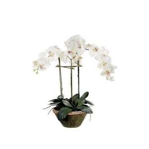   Silk Phalaenopsis Flower Arrangement in Designer Pot: Home & Kitchen