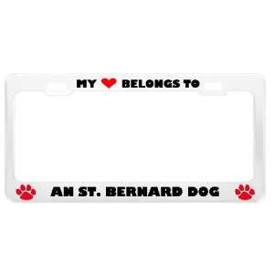  An St. Bernard Dog Pet White Metal License Plate Frame Tag 
