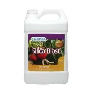  Silica Blast 1 Quart